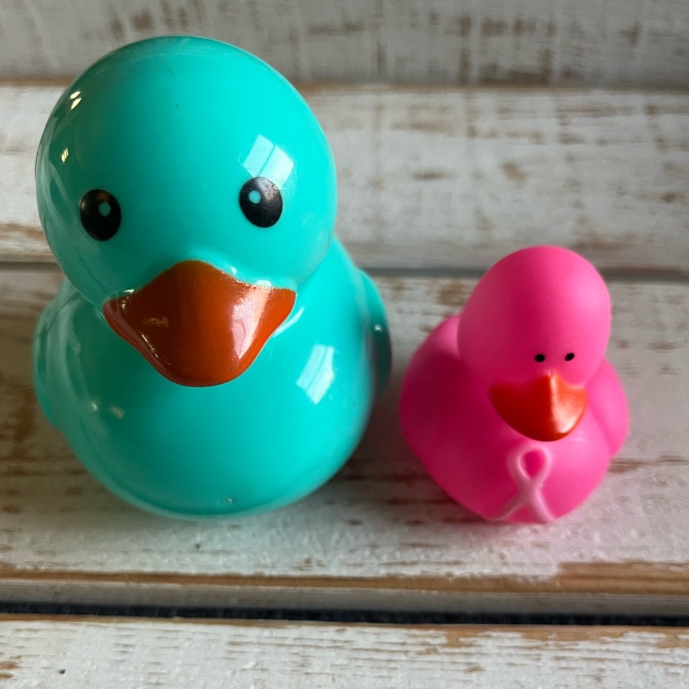 Duck inside a Duck: Teal and Pink Duck Duo